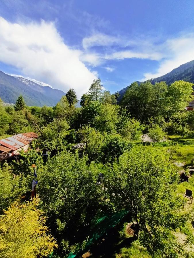 Rashpa Cottage Manāli Kültér fotó